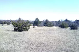 Tr 5 Cr 1750, Chico, TX 76431 - Photo 1