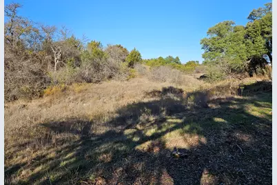 442 Hollow Drive, Lipan, TX 76462 - Photo 9