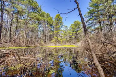 439 County Road 3190, Winnsboro, TX 75494 - Photo 17