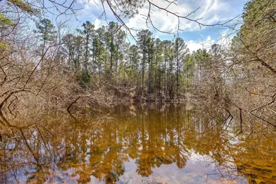 439 County Road 3190, Winnsboro, TX 75494 - Photo 19