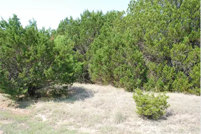 12101 Oak Dale Drive, Whitney, TX 76692 - Photo 3