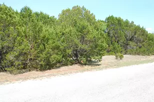 12101 Oak Dale Dr, Whitney, TX 76692 - Photo 1