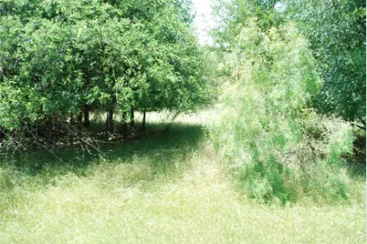 17001 Trailwood Drive, Whitney, TX 76692 - Photo 3