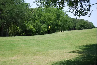 17001 Trailwood Drive, Whitney, TX 76692 - Photo 13