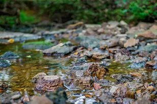 783 Co Rd 128, Gainesville, TX 76240 - Photo 31