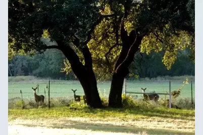 9051 Fm 205, Bluff Dale, TX 76433 - Photo 9