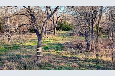 Tbd Longbranch Road, Nocona, TX 76255 - Photo 23
