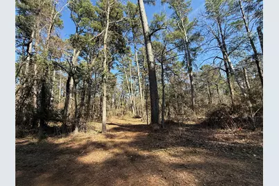 Lot 2 Private Road 8573, Winnsboro, TX 75494 - Photo 1