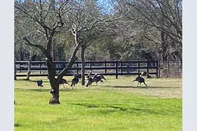 4536 County Road 132, Stephenville, TX 76401 - Photo 33