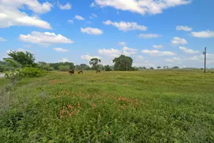 245 Co Rd 3696, Springtown, TX 76082 - Photo 23