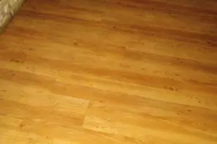 11204 Erich Dr, Balch Springs, TX 75180 - Photo 9