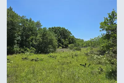 450 County Road 250, Gustine, TX 76455 - Photo 25
