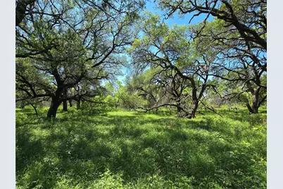 450 County Road 250, Gustine, TX 76455 - Photo 11
