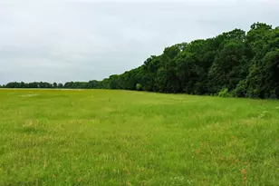 Tbd County Road 1242, Cleburne, TX 76033 - Photo 1