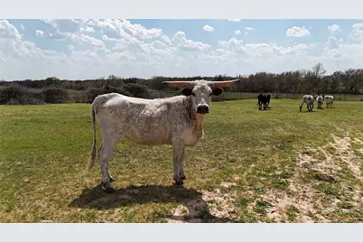 Tbd Ross Lane, Boyd, TX 76023 - Photo 9