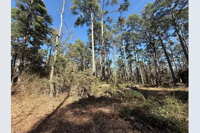 Lot 4 Private Road 8573, Winnsboro, TX 75494 - Photo 3