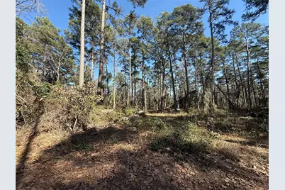 Lot 4 Private Road 8573, Winnsboro, TX 75494 - Photo 1