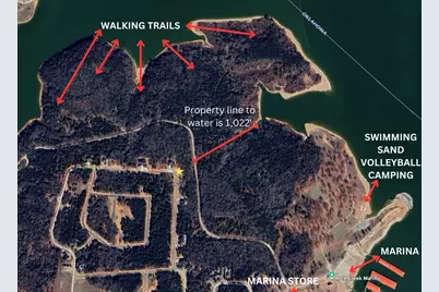 776 Palisades Drive, Gordonville, TX 76245 - Photo 3