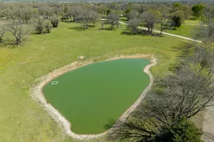 141 Lcr 405, Mexia, TX 76667 - Photo 3