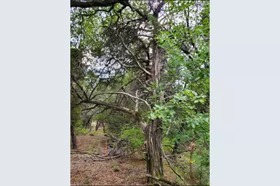 6520 Charleton Lane, Cleburne, TX 76033 - Photo 1