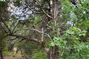 6520 Charleton Ln, Cleburne, TX 76033 - Photo 1