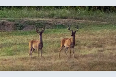 15110 Interstate 20, Cisco, TX 76437 - Photo 11