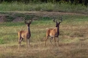 15110 Interstate 20, Cisco, TX 76437 - Photo 11