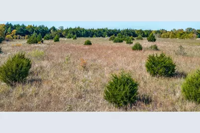 6100 Shannon Road, Mesquite, TX 75181 - Photo 7