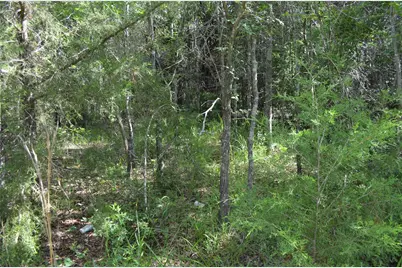 760 Vz County Road #2315, Eustace, TX 75124 - Photo 19