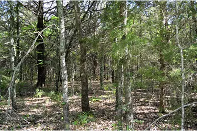 760 Vz County Road #2315, Eustace, TX 75124 - Photo 9