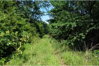 760 Vz County Road #2315, Eustace, TX 75124 - Photo 11