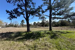176 Cr 45080, Powderly, TX 75473 - Photo 21