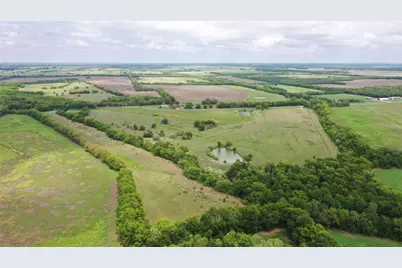 Tbd Fm-272, Leonard, TX 75452 - Photo 3