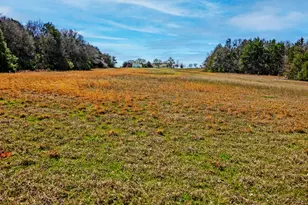 4489 E Fm 120, Denison, TX 75021 - Photo 37