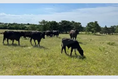 1480 Cr-1180, Alvord, TX 76225 - Photo 5