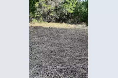 32039 Dove Trail, Whitney, TX 76692 - Photo 7