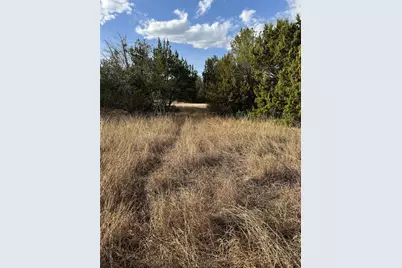 32039 Dove Trail, Whitney, TX 76692 - Photo 9