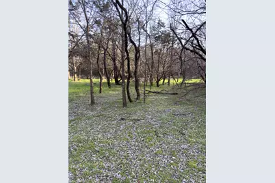 12147 Trailwood Drive, Whitney, TX 76692 - Photo 11