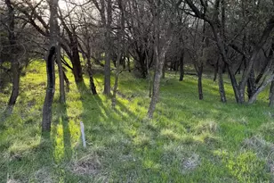 12147 Trailwood Dr, Whitney, TX 76692 - Photo 1