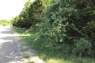 12117 Oak Dale Dr, Whitney, TX 76692 - Photo 1