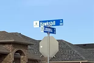 156 Hawksbill Ln, Rhome, TX 76078 - Photo 15