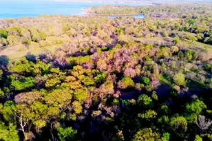 18062 Nelson Loop, Streetman, TX 75859 - Photo 3