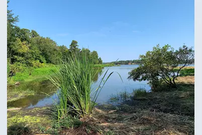 3196 Shadow Pine Drive, LaRue, TX 75770 - Photo 11