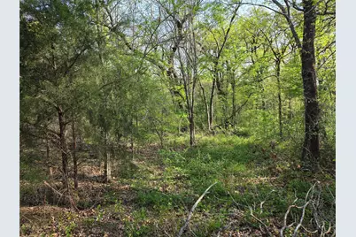 Lot 97 Tonkawa Trail, Corsicana, TX 75109 - Photo 5