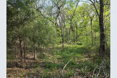 Lot 97 Tonkawa Trail, Corsicana, TX 75109 - Photo 5