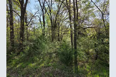 Lot 97 Tonkawa Trail, Corsicana, TX 75109 - Photo 29