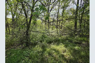 Lot 97 Tonkawa Trail, Corsicana, TX 75109 - Photo 39