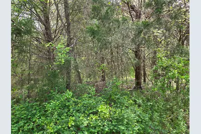 Lot 95 Stillwater Shores Drive, Corsicana, TX 75109 - Photo 25