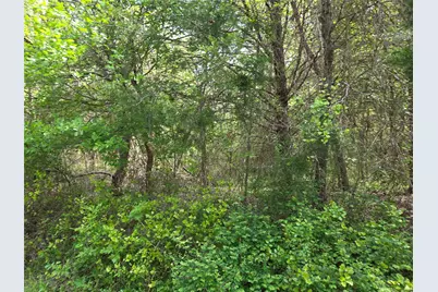 Lot 95 Stillwater Shores Drive, Corsicana, TX 75109 - Photo 7