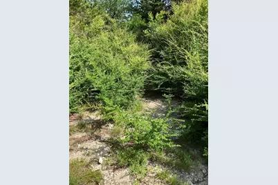 3510 Telephone Road, Dallas, TX 75241 - Photo 33